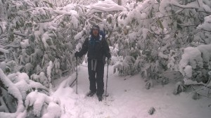 Saturday: passage through an icy rhododendron hell.