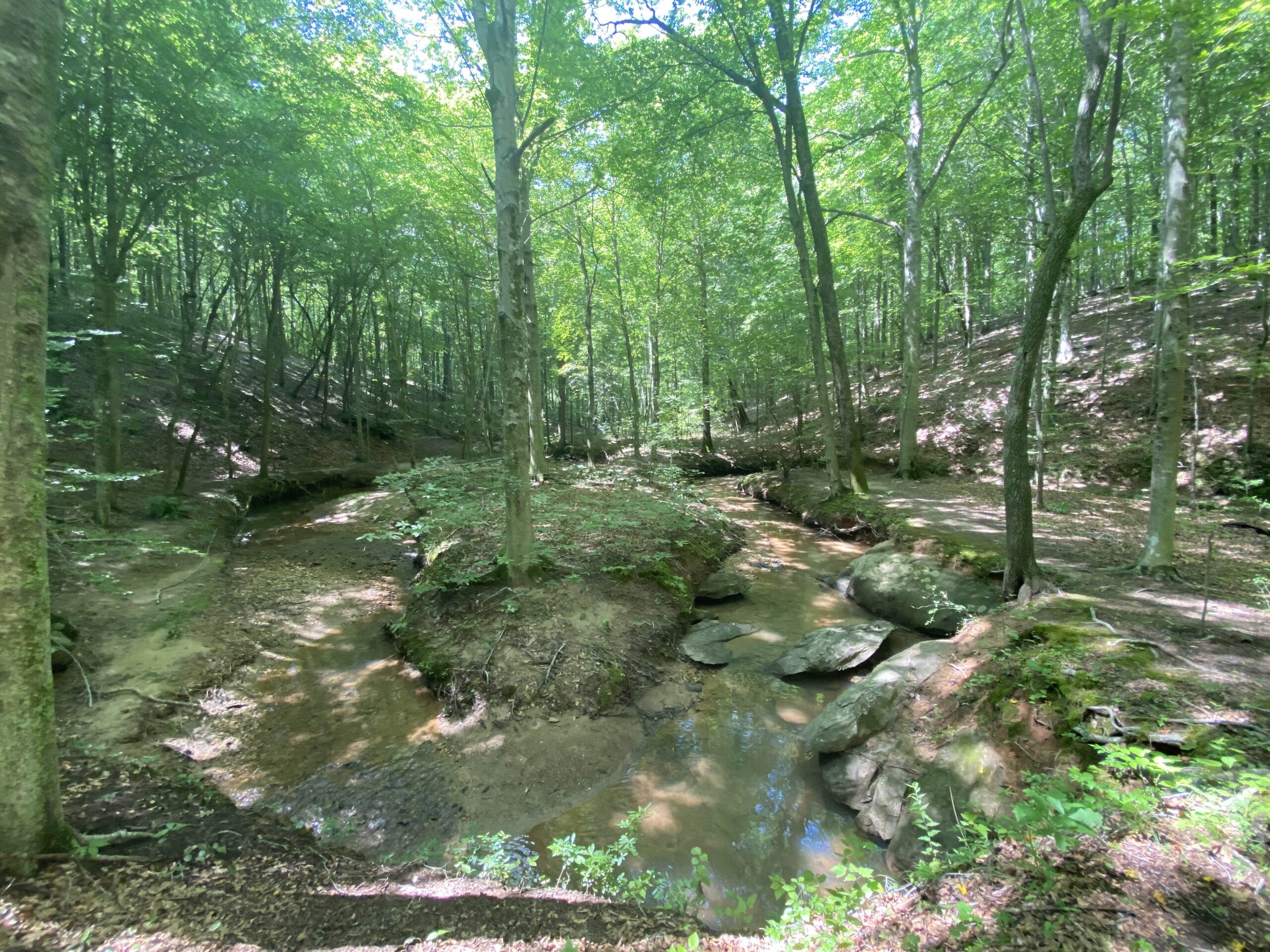 Spring Green Nc GetOut! Spring weather, with the green of summer - GetGoing NC!