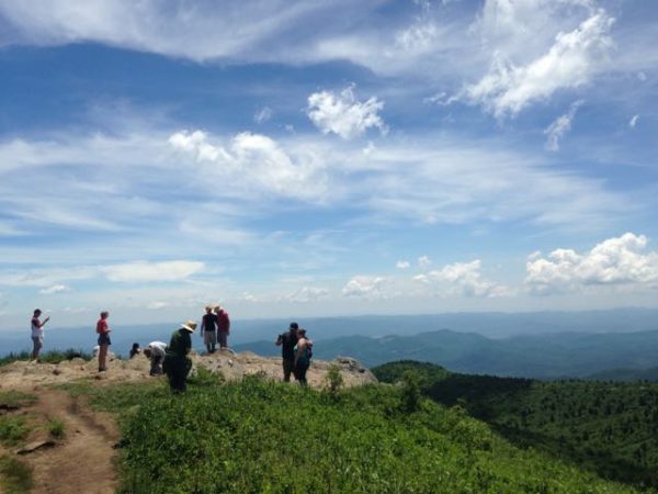 Hike a wilderness in North Carolina