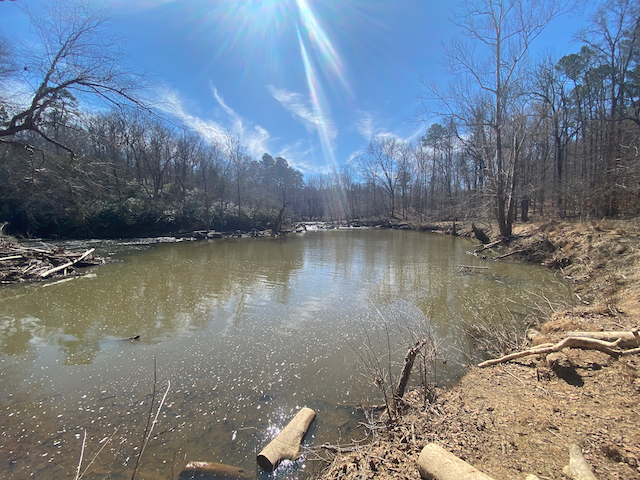 Spring Green Nc This week, it's all about welcoming Spring - GetGoing NC!