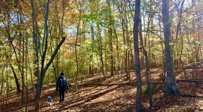 10 Tips for Fall Hiking
